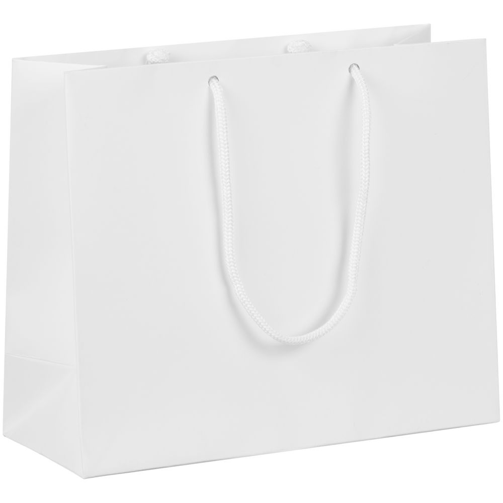 Пакет бумажный с ламинацией Lami Tote S